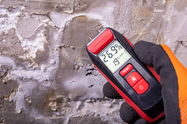 Best Toxic Mold Removal  in Danville, AR