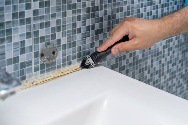 Best Affordable Mold Removal  in Danville, AR