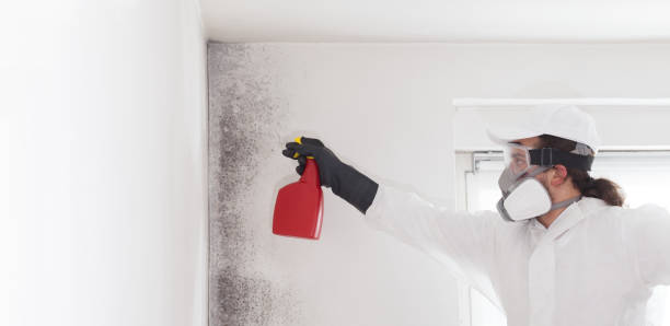 Best Professional Mold Removal  in Danville, AR