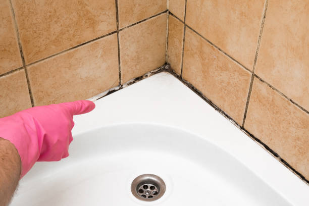 Water Damage Restoration in Danville, AR